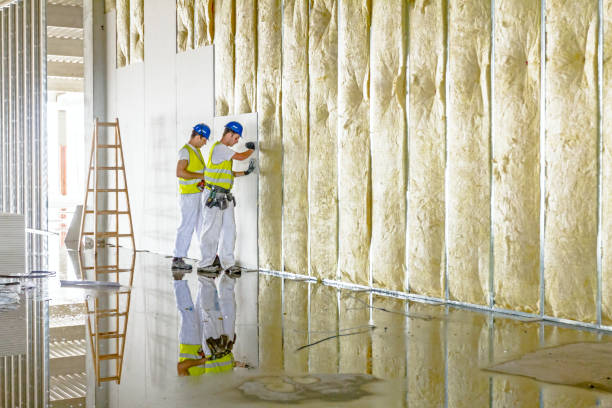 Best Geographic-Specific Insulation Services in Occoquan, VA